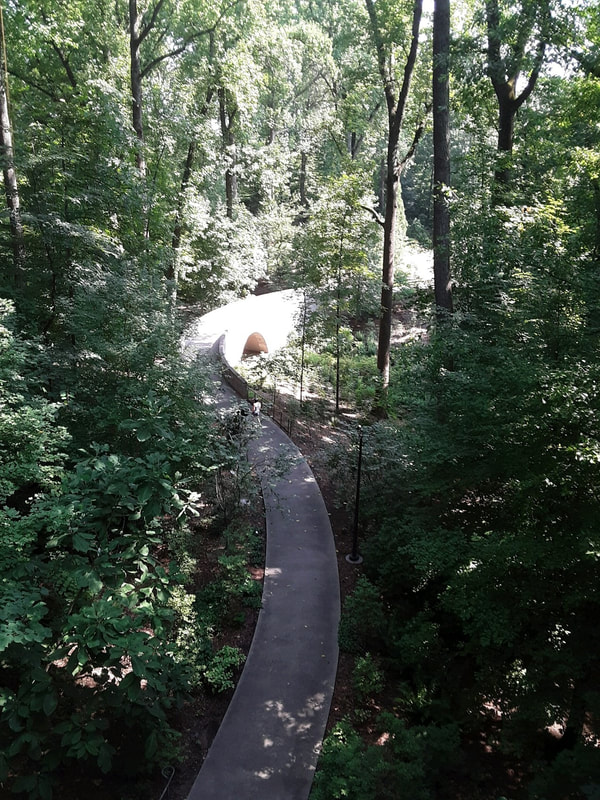 A light colored path leading through a green forest over a bridge