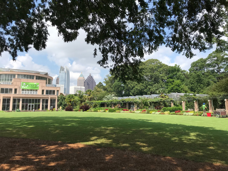 A green lawn stretches to a round two story building in the middle distance. The Atlanta skyline is seen in the far distance. The view is framed by a hanging tree canopy.

